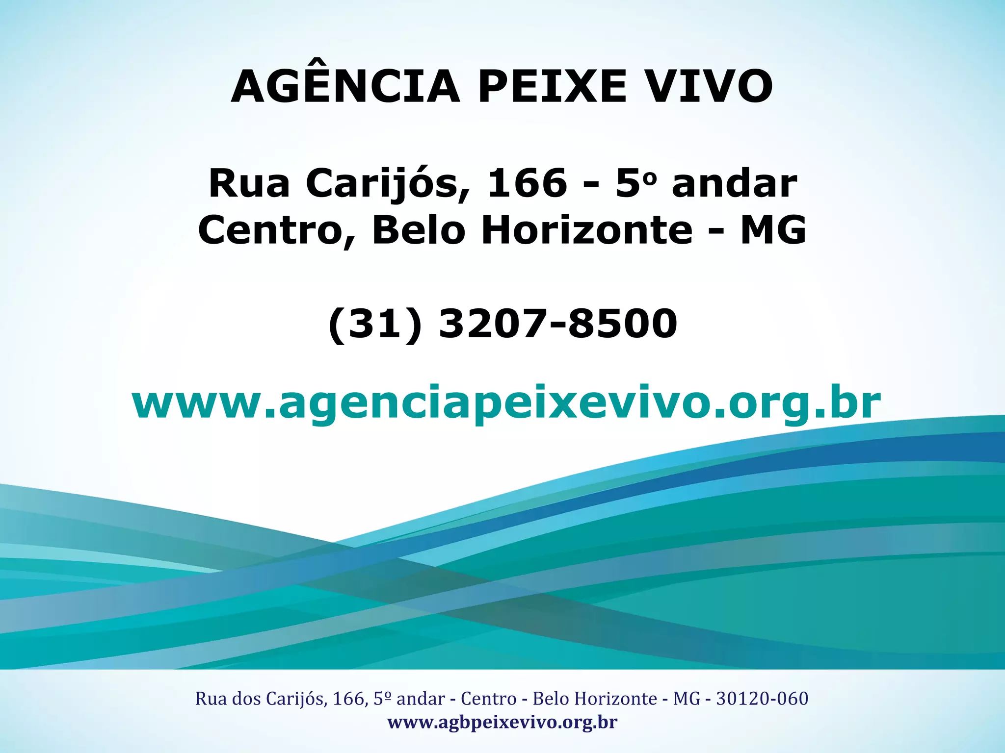18
Título Fonte Museo 500 regular corpo 20
Sub-Título Fonte Museo 100 regular corpo 16
Apoio Técnico Realização
Rua dos Carijós, 166, 5º andar - Centro - Belo Horizonte - MG - 30120-060
www.agbpeixevivo.org.br
AGÊNCIA PEIXE VIVO
Rua Carijós, 166 - 5o
andar
Centro, Belo Horizonte - MG
(31) 3207-8500
www.agenciapeixevivo.org.br
 