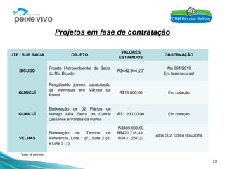 12
UTE / SUB BACIA OBJETO
VALORES
ESTIMADOS
OBSERVAÇÃO
BICUDO
Projeto Hidroambiental da Bacia
do Rio Bicudo
R$442.944,20*
Ato 001/2019
Em fase recursal
GUAICUÍ
Resgatando jovens: capacitação
de viveiristas em Várzea da
Palma
R$16.000,00 Em cotação
GUAICUÍ
Elaboração de 02 Planos de
Manejo APA Serra do Cabral
Lassance e Várzea da Palma
R$1.200.00,00 Em cotação
VELHAS
Elaboração de Termos de
Referência, Lote 1 (7), Lote 2 (8)
e Lote 3 (7)
R$465.663,60
R$420.716,43
R$431.257,23
Atos 002, 003 e 004/2019
Projetos em fase de contratação
*valor já definido
 
