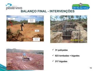 16
BALANÇO FINAL - INTERVENÇÕES
 31 paliçadas
 823 lombadas + bigodes
 217 bigodes
 
