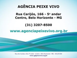 18
Título Fonte Museo 500 regular corpo 20
Sub-Título Fonte Museo 100 regular corpo 16
Apoio Técnico Realização
Rua dos Carijós, 166, 5º andar - Centro - Belo Horizonte - MG - 30120-060
www.agbpeixevivo.org.br
AGÊNCIA PEIXE VIVO
Rua Carijós, 166 - 5o
andar
Centro, Belo Horizonte - MG
(31) 3207-8500
www.agenciapeixevivo.org.br
 