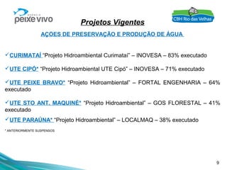9
Projetos Vigentes
AÇÕES DE PRESERVAÇÃO E PRODUÇÃO DE ÁGUA
CURIMATAÍ “Projeto Hidroambiental Curimataí” – INOVESA – 83% executado
UTE CIPÓ* “Projeto Hidroambiental UTE Cipó” – INOVESA – 71% executado
UTE PEIXE BRAVO* “Projeto Hidroambiental” – FORTAL ENGENHARIA – 64%
executado
UTE STO ANT. MAQUINÉ* “Projeto Hidroambiental” – GOS FLORESTAL – 41%
executado
UTE PARAÚNA* “Projeto Hidroambiental” – LOCALMAQ – 38% executado
* ANTERIORMENTE SUSPENSOS
 