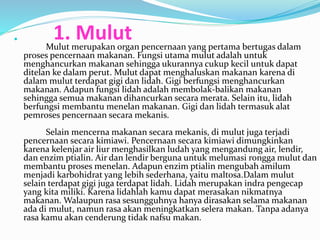 1. Mulut  
Mulut merupakan organ pencernaan yang pertama bertugas dalam 
proses pencernaan makanan. Fungsi utama mulut adalah untuk 
menghancurkan makanan sehingga ukurannya cukup kecil untuk dapat 
ditelan ke dalam perut. Mulut dapat menghaluskan makanan karena di 
dalam mulut terdapat gigi dan lidah. Gigi berfungsi menghancurkan 
makanan. Adapun fungsi lidah adalah membolak-balikan makanan 
sehingga semua makanan dihancurkan secara merata. Selain itu, lidah 
berfungsi membantu menelan makanan. Gigi dan lidah termasuk alat 
pemroses pencernaan secara mekanis. 
Selain mencerna makanan secara mekanis, di mulut juga terjadi 
pencernaan secara kimiawi. Pencernaan secara kimiawi dimungkinkan 
karena kelenjar air liur menghasilkan ludah yang mengandung air, lendir, 
dan enzim ptialin. Air dan lendir berguna untuk melumasi rongga mulut dan 
membantu proses menelan. Adapun enzim ptialin mengubah amilum 
menjadi karbohidrat yang lebih sederhana, yaitu maltosa.Dalam mulut 
selain terdapat gigi juga terdapat lidah. Lidah merupakan indra pengecap 
yang kita miliki. Karena lidahlah kamu dapat merasakan nikmatnya 
makanan. Walaupun rasa sesungguhnya hanya dirasakan selama makanan 
ada di mulut, namun rasa akan meningkatkan selera makan. Tanpa adanya 
rasa kamu akan cenderung tidak nafsu makan. 
 