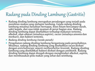 Radang pada Dinding Lambung (Gastritis) 
 Radang dinding lambung merupakan peradangan yang terjadi pada 
membran mukus yang melapisi lambung. Gejala radang dinding 
lambung misalnya kesulitan bernapas, feses hitam bercampur darah, 
sakit kepala, dan rasa tidak nyaman di perut bagian atas. Radang 
dinding lambung dapat disebabkan terhadap makanan tertentu, 
alkohol, obat-obatan (misalnya aspirin), racun (misalnya amonia dan 
merkuri), dan bakteri tertentu. 
 Radang dinding lambung (tanda panah) 
 Pengobatan radang dinding lambung bergantung pada penyebabnya. 
Misalnya, radang dinding lambung yang disebabkan racun diobati 
dengan anticholinergic seperti methantheline bromide. Radang dinding 
lambung yang disebabkan bakteri diobati dengan antibiotik. Radang 
dinding lambung dapat dicegah dengan menghindari alkohol, aspirin, 
dan membiasakan pola makan yang sehat dan seimbang. 
 