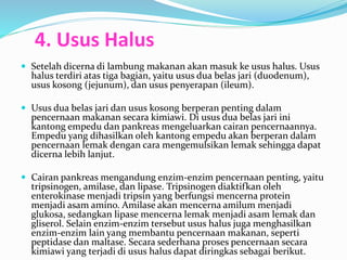 4. Usus Halus 
 Setelah dicerna di lambung makanan akan masuk ke usus halus. Usus 
halus terdiri atas tiga bagian, yaitu usus dua belas jari (duodenum), 
usus kosong (jejunum), dan usus penyerapan (ileum). 
 Usus dua belas jari dan usus kosong berperan penting dalam 
pencernaan makanan secara kimiawi. Di usus dua belas jari ini 
kantong empedu dan pankreas mengeluarkan cairan pencernaannya. 
Empedu yang dihasilkan oleh kantong empedu akan berperan dalam 
pencernaan lemak dengan cara mengemulsikan lemak sehingga dapat 
dicerna lebih lanjut. 
 Cairan pankreas mengandung enzim-enzim pencernaan penting, yaitu 
tripsinogen, amilase, dan lipase. Tripsinogen diaktifkan oleh 
enterokinase menjadi tripsin yang berfungsi mencerna protein 
menjadi asam amino. Amilase akan mencerna amilum menjadi 
glukosa, sedangkan lipase mencerna lemak menjadi asam lemak dan 
gliserol. Selain enzim-enzim tersebut usus halus juga menghasilkan 
enzim-enzim lain yang membantu pencernaan makanan, seperti 
peptidase dan maltase. Secara sederhana proses pencernaan secara 
kimiawi yang terjadi di usus halus dapat diringkas sebagai berikut. 
 