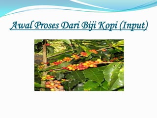 Awal Proses Dari Biji Kopi (Input)
 