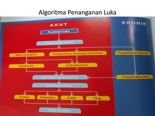 Algoritma Penanganan Luka
 