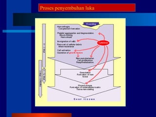 Proses penyembuhan luka
 