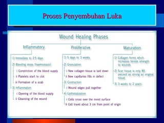 Proses Penyembuhan LukaProses Penyembuhan LukaProses Penyembuhan LukaProses Penyembuhan Luka
 