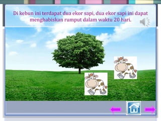 Di kebun ini terdapat dua ekor sapi, dua ekor sapi ini dapat
menghabiskan rumput dalam waktu 20 hari.
 