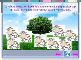 Di kebun ke tiga terdapat delapan ekor sapi, delapan ekor sapi
ini dapat menghabiskan rumput dalam waktu 5 hari.
 