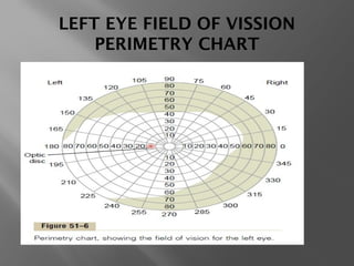 LEFT EYE FIELD OF VISSION
PERIMETRY CHART
 