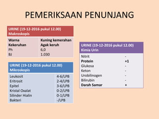 PEMERIKSAAN PENUNJANG
URINE (19-12-2016 pukul 12.00)
Makroskopis
Warna
Kekeruhan
Ph
BJ
Kuning kemerahan
Agak keruh
6,0
1.030
URINE (19-12-2016 pukul 12.00)
Mikroskopis
Leukosit
Eritrosit
Epitel
Kristal Oxalat
Silinder Hialin
Bakteri
4-6/LPB
2-4/LPB
3-6/LPB
0-2/LPB
0-1/LPB
-/LPB
URINE (19-12-2016 pukul 12.00)
Kimia Urin
Nitrit
Protein
Glukosa
Keton
Urobilinogen
Bilirubin
Darah Samar
-
+1
-
-
-
-
+
 