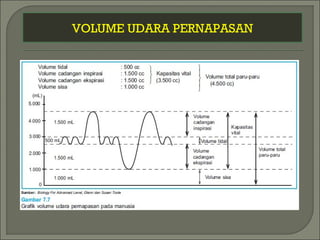VOLUME UDARA PERNAPASAN
 