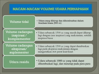 MACAM-MACAM VOLUME UDARA PERNAPASAN
• Udara sebanyak 1000 cc yang tidak dapat
dihembuskan lagi, dan menetap pada paru-paru
Udara residu
 