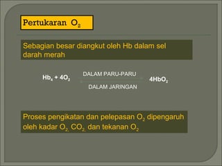 Pertukaran O2
Sebagian besar diangkut oleh Hb dalam sel
darah merah
Hb4 + 4O2
DALAM PARU-PARU
DALAM JARINGAN
4HbO2
Proses pengikatan dan pelepasan O2 dipengaruh
oleh kadar O2, CO2, dan tekanan O2
 