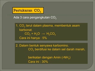 Pertukaran CO2
Ada 3 cara pengangkutan CO2
1. CO2 larut dalam plasma, membentuk asam
karbonat.
CO2 + H2O → H2CO3
Cara ini hanya : 5%
2. Dalam bentuk senyawa karbomino.
CO2 berdifusi ke dalam sel darah merah,
berikatan dengan Amin (-NH2)
Cara ini : 30%
 