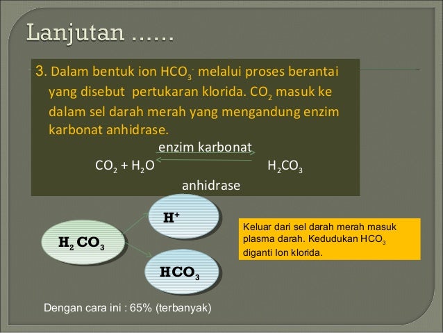 Ppt pernapasan manusia