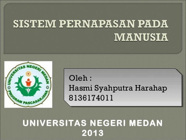 Ppt Pernapasan Pada Manusia