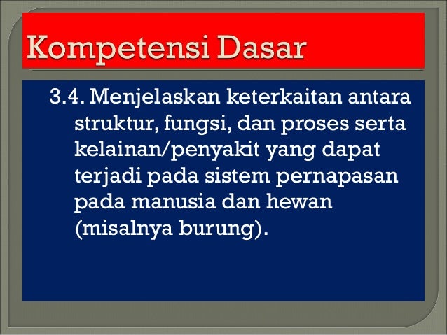Ppt Pernapasan Pada Manusia