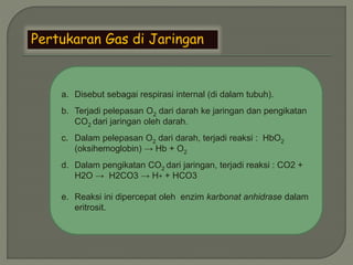 Pertukaran Gas di Jaringan
a. Disebut sebagai respirasi internal (di dalam tubuh).
b. Terjadi pelepasan O2 dari darah ke jaringan dan pengikatan
CO2 dari jaringan oleh darah.
c. Dalam pelepasan O2 dari darah, terjadi reaksi : HbO2
(oksihemoglobin) → Hb + O2
d. Dalam pengikatan CO2 dari jaringan, terjadi reaksi : CO2 +
H2O → H2CO3 → H+ + HCO3
e. Reaksi ini dipercepat oleh enzim karbonat anhidrase dalam
eritrosit.
 