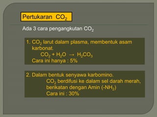 Pertukaran CO2
Ada 3 cara pengangkutan CO2
1. CO2 larut dalam plasma, membentuk asam
karbonat.
CO2 + H2O → H2CO3
Cara ini hanya : 5%
2. Dalam bentuk senyawa karbomino.
CO2 berdifusi ke dalam sel darah merah,
berikatan dengan Amin (-NH2)
Cara ini : 30%
 