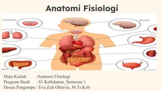 Anatomi Fisiologi
Mata Kuliah :Anatomi Fisiologi
Program Studi : S1 Kebidanan_Semester 1
Dosen Pengampu : Eva Zuli Oktavia, M.Tr.Keb
 
