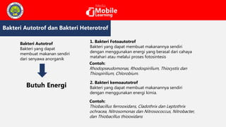 Ppt pertemuan 2 (cara hidup, pertahanan, reproduksi, klasifikasi ...