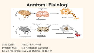 Anatomi Fisiologi
Mata Kuliah :Anatomi Fisiologi
Program Studi : S1 Kebidanan_Semester 1
Dosen Pengampu : Eva Zuli Oktavia, M.Tr.Keb
 
