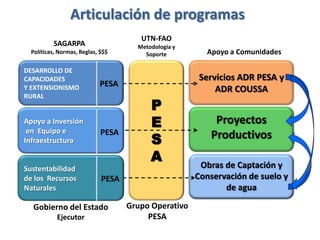 Articulación de programas
P
E
S
A
UTN-FAO
Metodología y
Soporte
Grupo Operativo
PESA
PESA
Servicios ADR PESA y
ADR COUSSA
Proyectos
Productivos
Obras de Captación y
Conservación de suelo y
de agua
Apoyo a Comunidades
DESARROLLO DE
CAPACIDADES
Y EXTENSIONISMO
RURAL
PESA
Apoyo a Inversión
en Equipo e
Infraestructura
Sustentabilidad
de los Recursos
Naturales
PESA
SAGARPA
Políticas, Normas, Reglas, $$$
Gobierno del Estado
Ejecutor
PESA
 