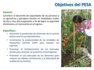 Objetivos del PESA
General:
Contribuir al desarrollo de capacidades de las personas y
su agricultura y ganadería familiar en localidades rurales
de alta y muy alta marginación a fin de lograr su seguridad
alimentaria y el incremento en el ingreso.
Específicos:
• Aumentar la producción de alimentos de la canasta
básica rural (o sus equivalentes).
• Incrementar la productividad de las Unidades de
Producción Familiar (UPF) para mejorar sus
ingresos.
• Promover el fortalecimiento de los mercados
locales para reactivar la economía microrregional.
• Promover el uso adecuado de los alimentos para
mejorar los hábitos alimentarios y la diversidad de
la dieta de las familias.
 