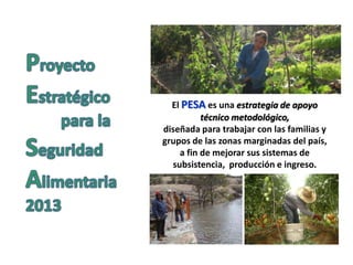 El PESA es una estrategia de apoyo
técnico metodológico,
diseñada para trabajar con las familias y
grupos de las zonas marginadas del país,
a fin de mejorar sus sistemas de
subsistencia, producción e ingreso.
 
