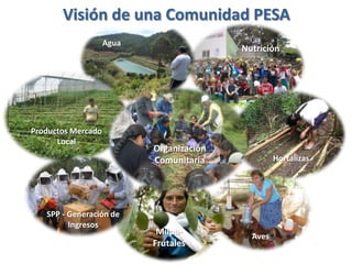 Visión de una Comunidad PESA
SPP - Generación de
Ingresos
Milpa-
Frutales
Aves
Agua
Hortalizas
Productos Mercado
Local
Organización
Comunitaria
Nutrición
 