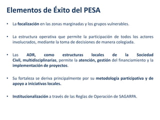 Elementos de Éxito del PESA
• La focalización en las zonas marginadas y los grupos vulnerables.
• La estructura operativa que permite la participación de todos los actores
involucrados, mediante la toma de decisiones de manera colegiada.
• Las ADR, como estructuras locales de la Sociedad
Civil, multidisciplinarias, permite la atención, gestión del financiamiento y la
implementación de proyectos.
• Su fortaleza se deriva principalmente por su metodología participativa y de
apoyo a iniciativas locales.
• Institucionalización a través de las Reglas de Operación de SAGARPA.
 