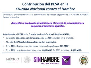 Contribución del PESA en la
Cruzada Nacional contra el Hambre
Contribuirá principalmente a la consecución del tercer objetivo de la Cruzada Nacional
Contra el Hambre:
Aumentar la producción de alimentos y el ingreso de los campesinos y
pequeños productores agrícolas.
Actualmente, el PESA en la Cruzada Nacional Contra el Hambre (CNCH):
• Desarrolla acciones en 258 municipios de los 400 incluidos en la Cruzada.
• Atiende 3,437 localidades rurales en estos municipios.
• En el 2011, destinó en estas zonas, recursos federales por 913 MDP
• En el 2012, se estiman inversiones por 1,000 MDP. En 2013 la meta es 1,500 MDP.
 