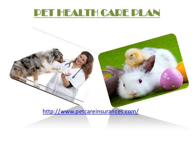 pets at home rabbit care plan
