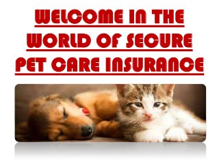 WELCOME IN THE
WORLD OF SECURE
PET CARE INSURANCE
 