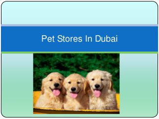 Pet Stores In Dubai
 