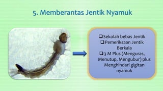 5. Memberantas Jentik Nyamuk
Sekolah bebas Jentik
Pemeriksaan Jentik
Berkala
3 M Plus (Menguras,
Menutup, Mengubur) plus
Menghindari gigitan
nyamuk
 