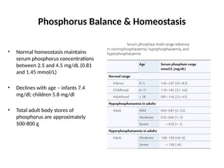 Phosphorus Normal Range Comprehensive Overview of Phosphate Homeostasis and Kidney Function in ...