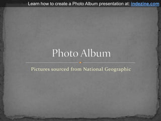 Pictures sourced from National Geographic Photo Album Learn how to create a Photo Album presentation at: indezine.com 