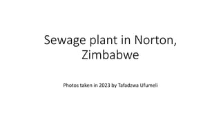 Sewage plant in Norton,
Zimbabwe
Photos taken in 2023 by Tafadzwa Ufumeli
 