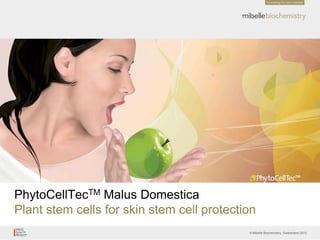 © Mibelle Biochemistry, Switzerland 2010
PhytoCellTecTM Malus Domestica
Plant stem cells for skin stem cell protection
 