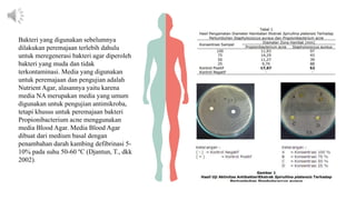 Bakteri yang digunakan sebelumnya
dilakukan peremajaan terlebih dahulu
untuk meregenerasi bakteri agar diperoleh
bakteri yang muda dan tidak
terkontaminasi. Media yang digunakan
untuk peremajaan dan pengujian adalah
Nutrient Agar, alasannya yaitu karena
media NA merupakan media yang umum
digunakan untuk pengujian antimikroba,
tetapi khusus untuk peremajaan bakteri
Propionibacterium acne menggunakan
media Blood Agar. Media Blood Agar
dibuat dari medium basal dengan
penambahan darah kambing defibrinasi 5-
10% pada suhu 50-60 ºC (Djantun, T., dkk
2002).
 