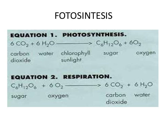 mata kuliah Biologi semester 1 prodi peternakan (gambar)
