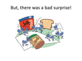 But, there was a bad surprise!
 