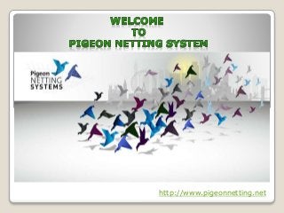 http://www.pigeonnetting.net
 