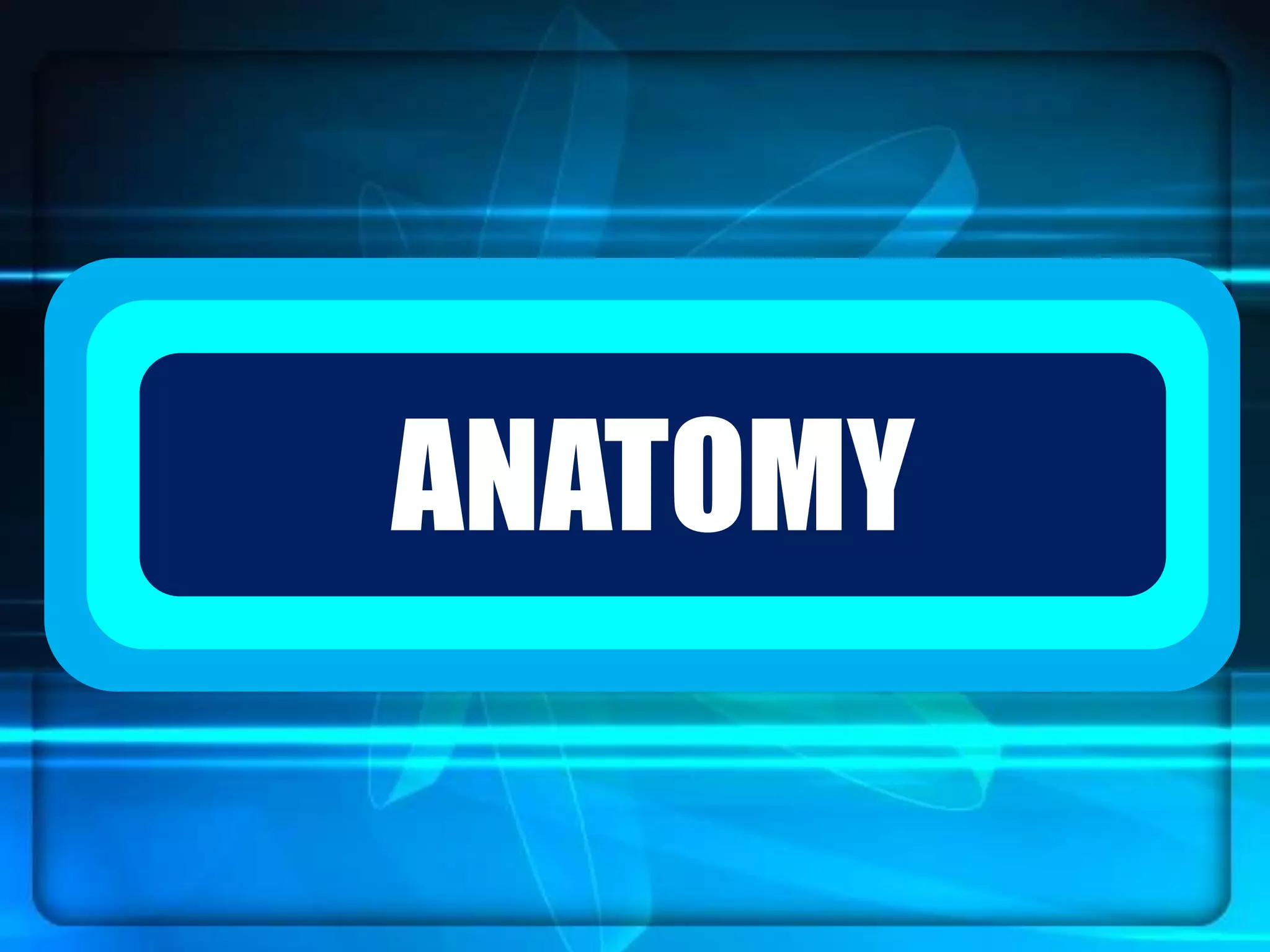 `ANATOMY
 