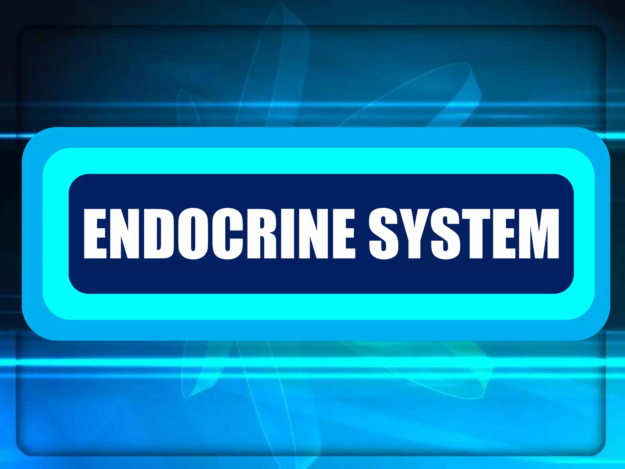 `ENDOCRINE SYSTEM
 