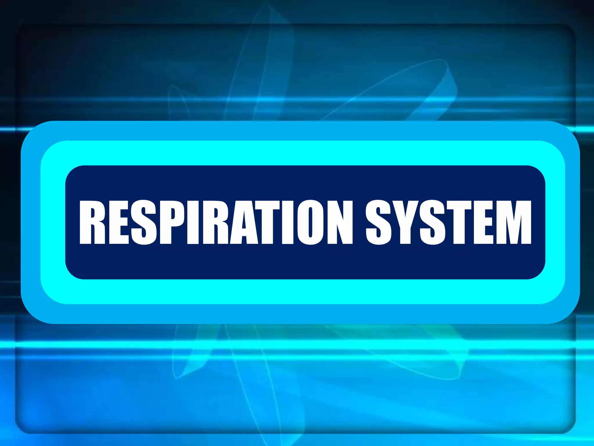`RESPIRATION SYSTEM
 