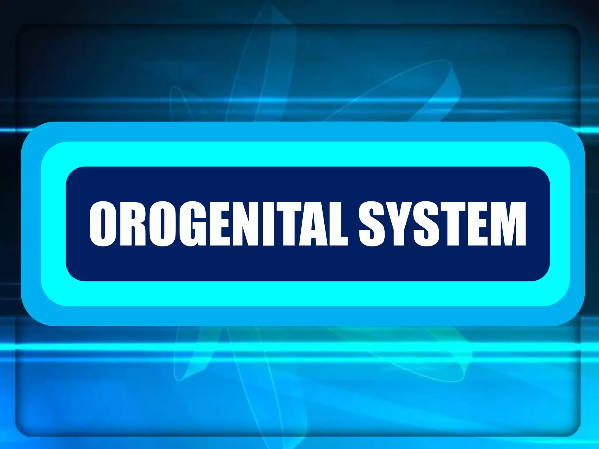 `OROGENITAL SYSTEM
 